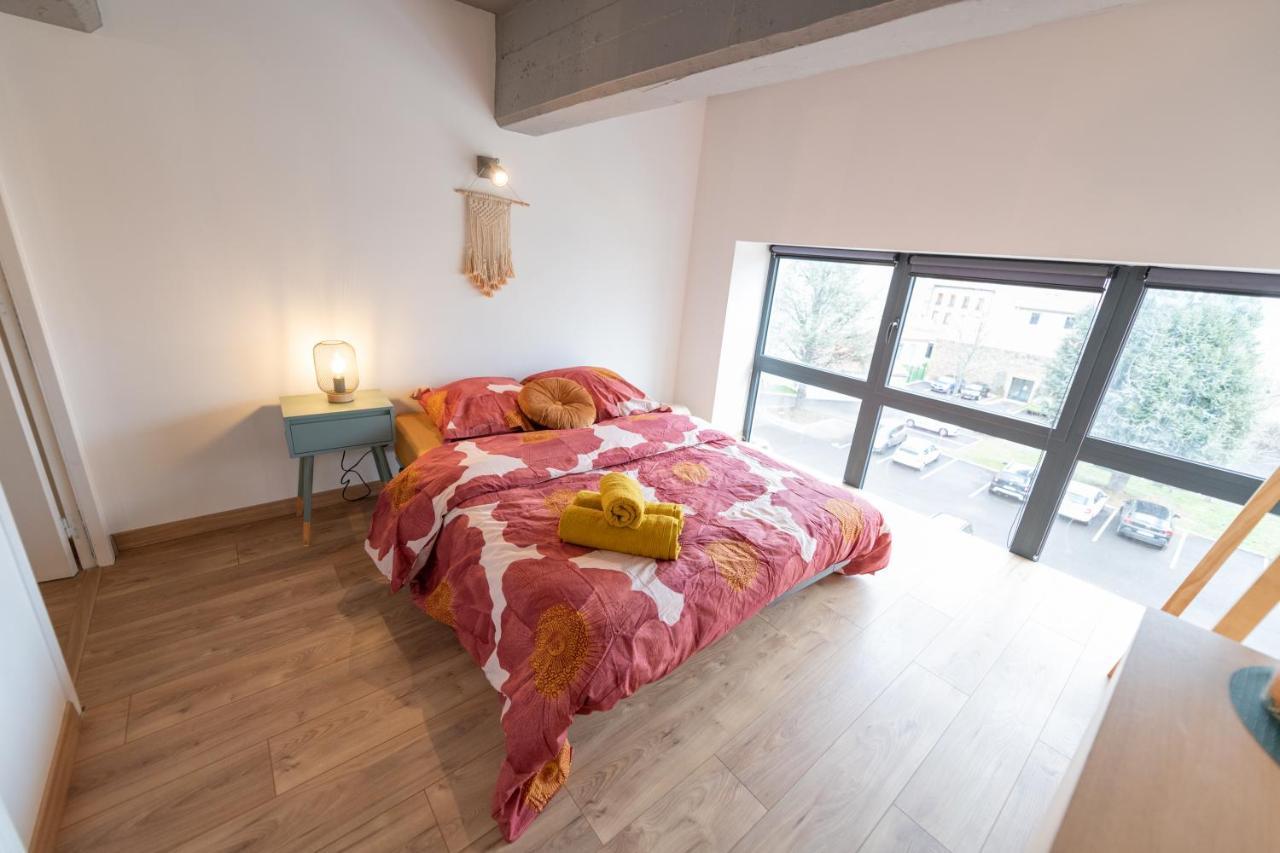 Welcome Loft Saint-Etienne  Zewnętrze zdjęcie